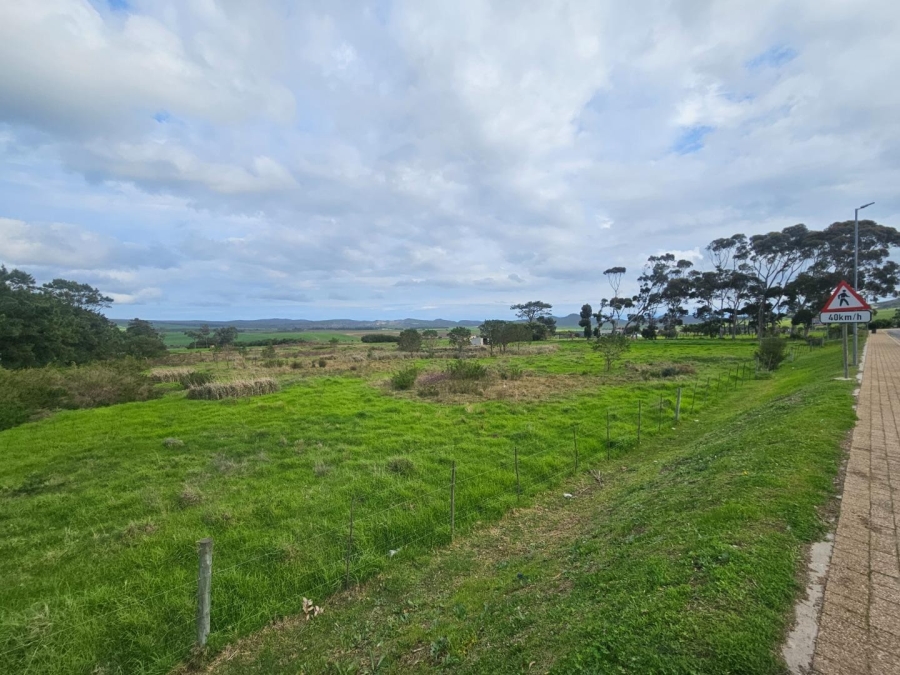 0 Bedroom Property for Sale in Baardskeerdersbos Western Cape